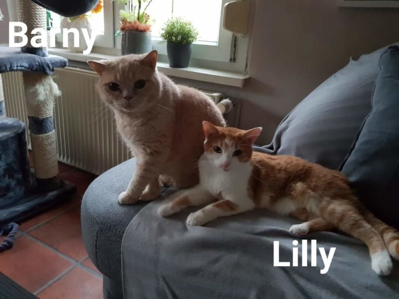 Barny und Lilly