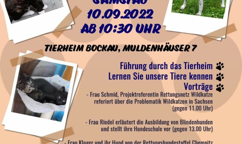 Tierheimfest 2022 Tierheimfest 2022