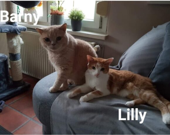 Barny und Lilly