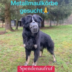 ♥️Spendenaufruf♥️