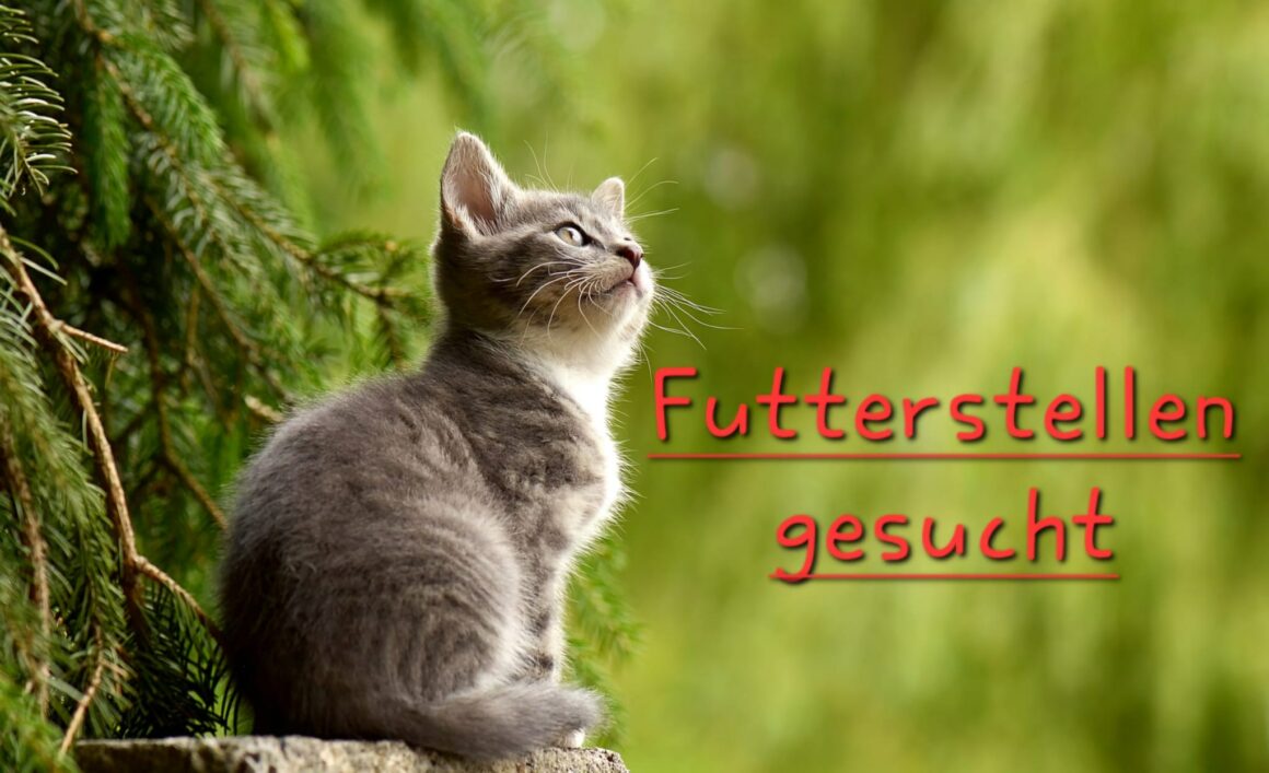 Futterstellen gesucht