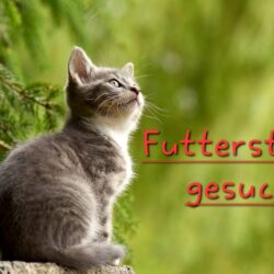 Futterstellen gesucht