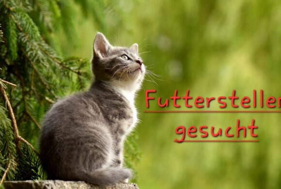 Futterstellen gesucht