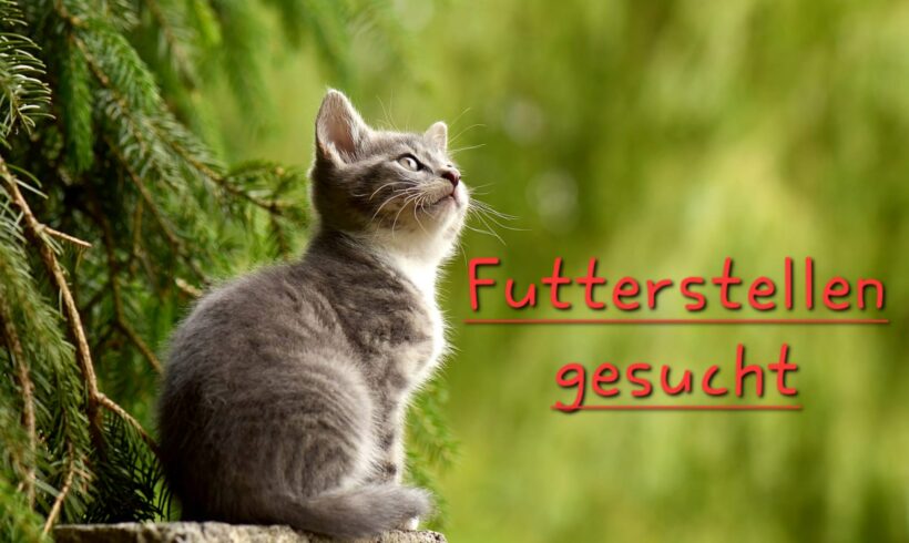 Futterstellen gesucht