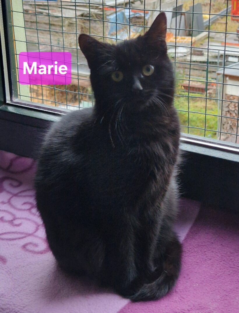 Marie und Marius😻