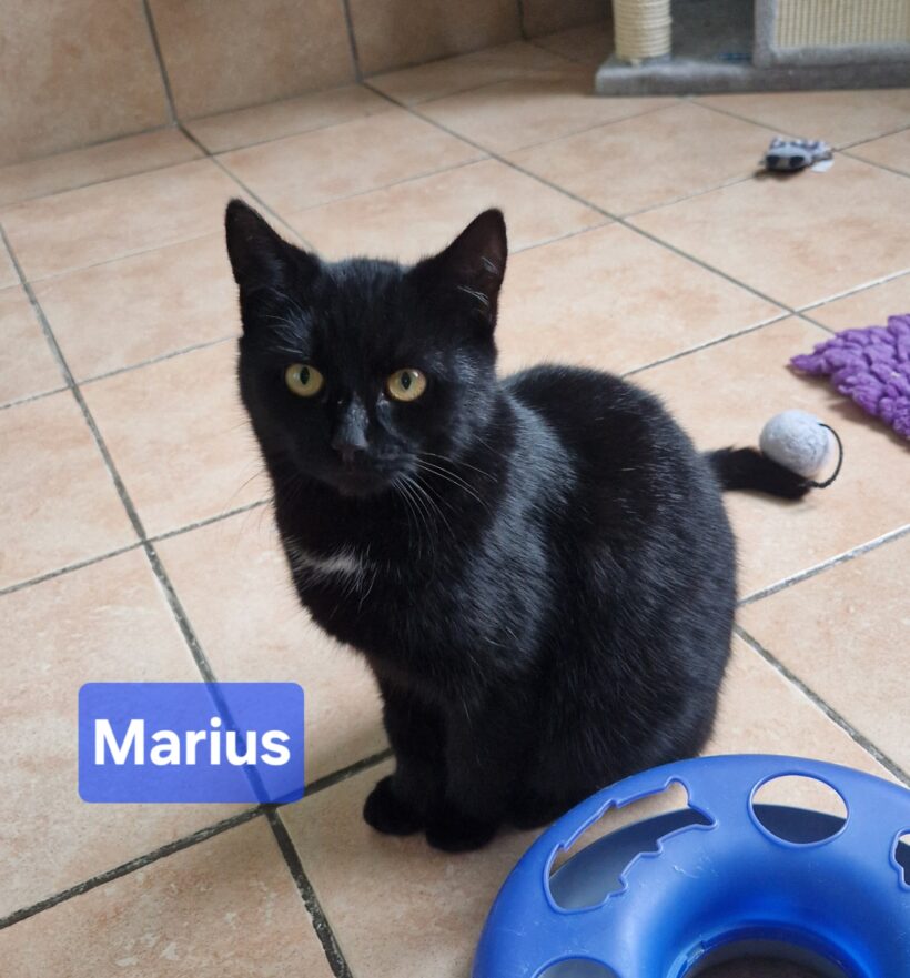 Marie und Marius😻