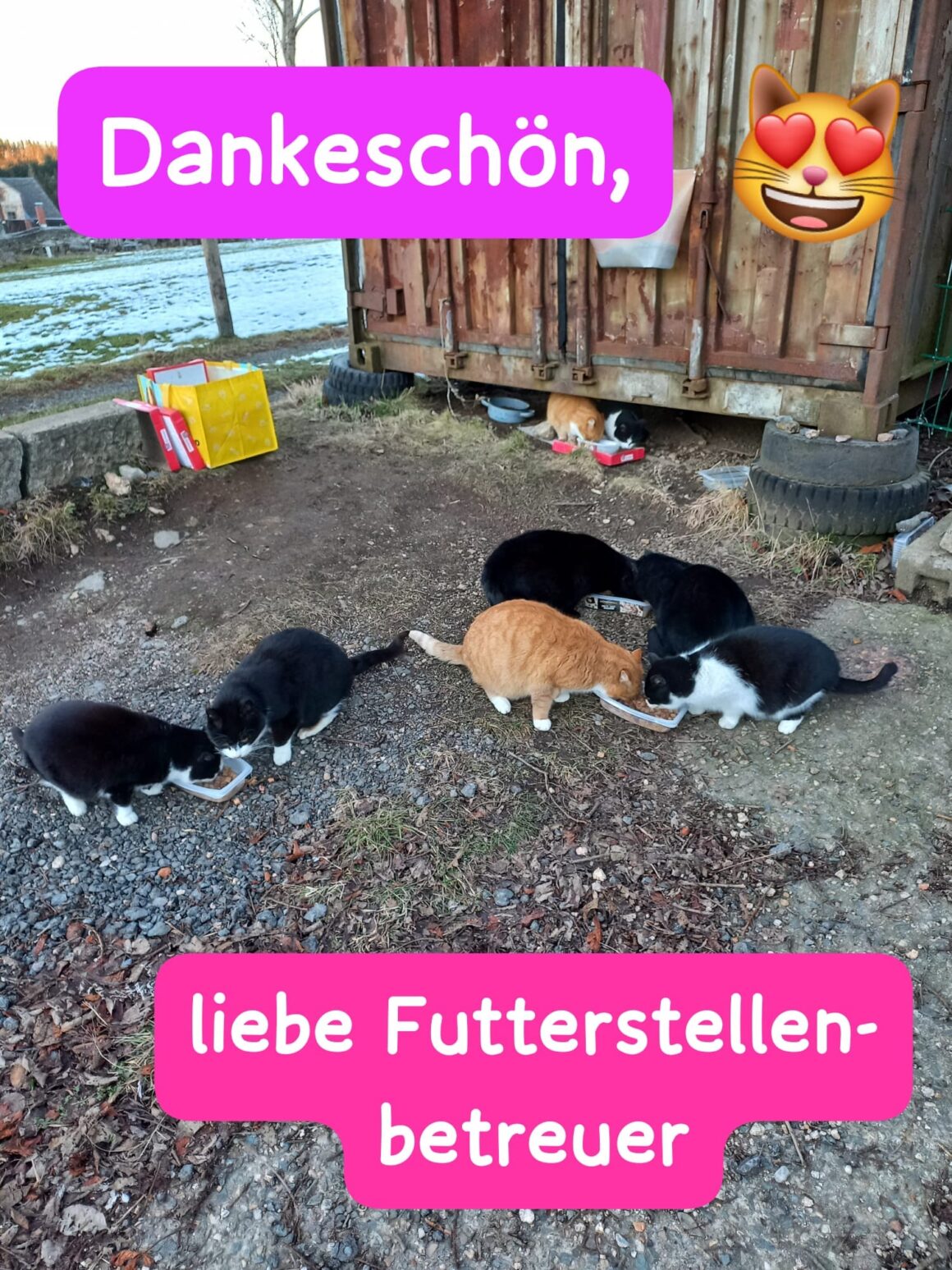 🐱Ein herzliches Dankeschön🐱