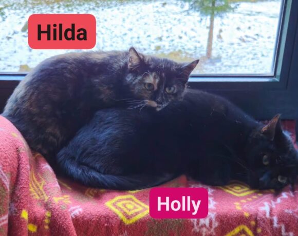 Mama Holly und Tochter Hilda🥰