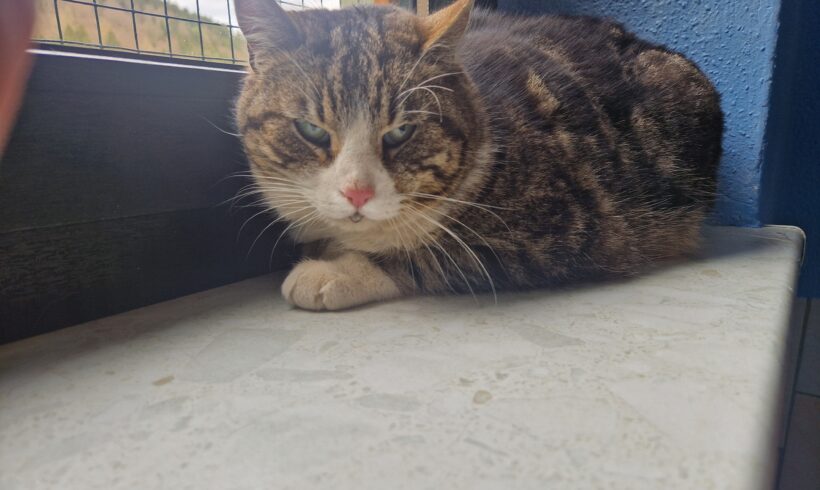Fundkater Bernsbach/Oberpfannenstiel