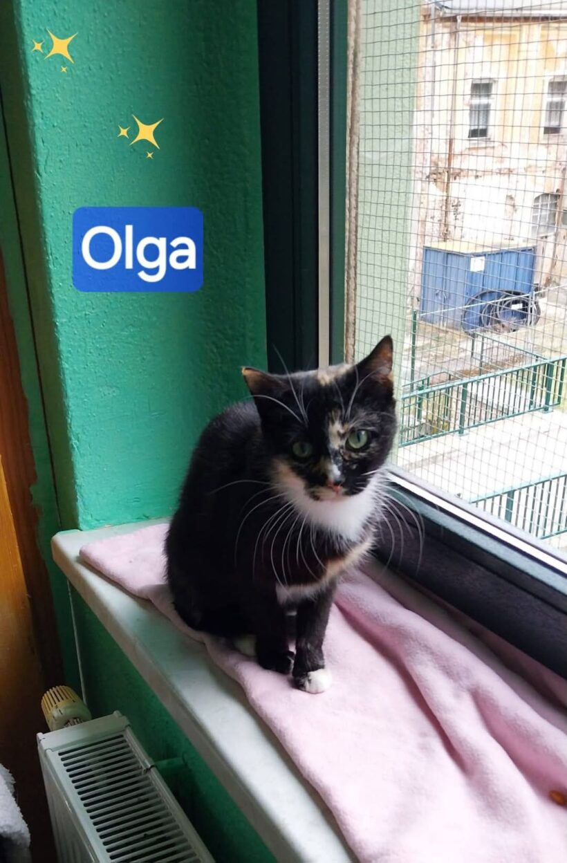 Tiger und Olga❤️