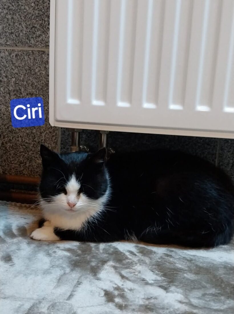 Chico und Ciri❤️