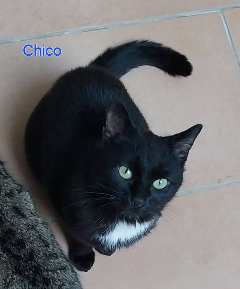 Chico und Ciri❤️