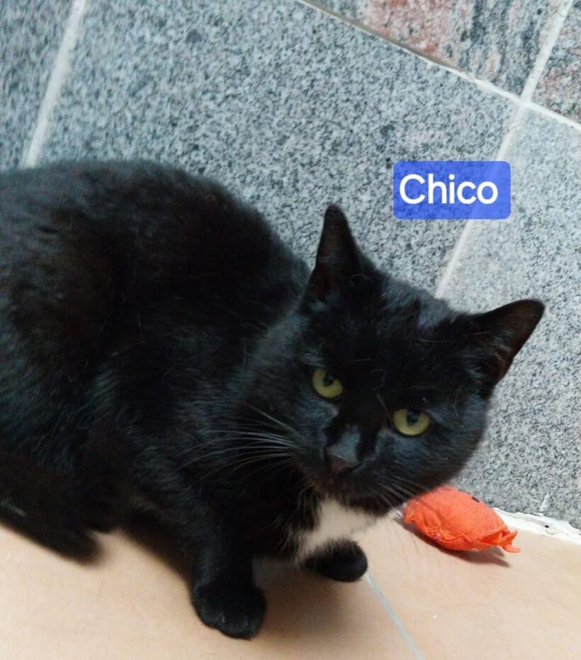 Chico und Ciri❤️