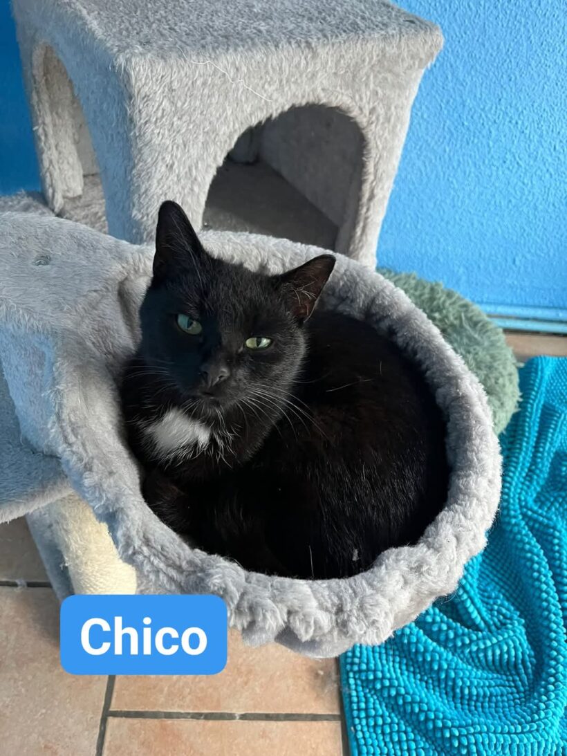 Chico und Ciri❤️