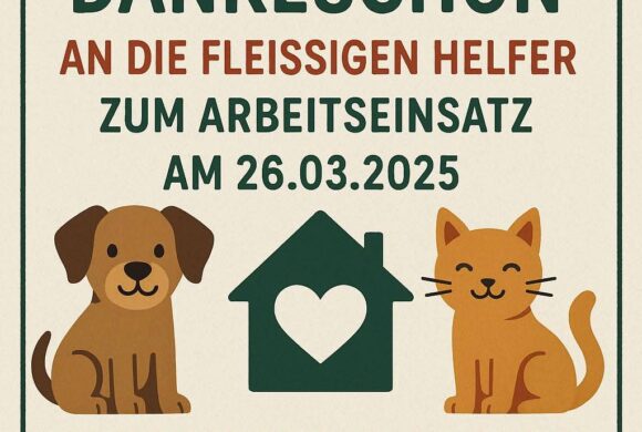 Arbeitseinsatz 26.03.25❤️