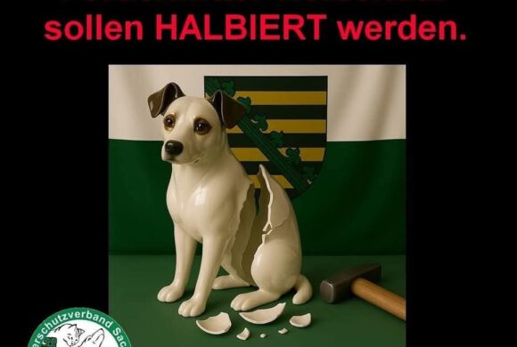 Fördermittel halbiert😥 Fördermittel halbiert😥