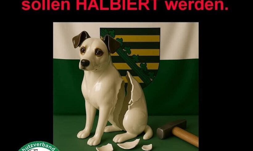 Fördermittel halbiert😥