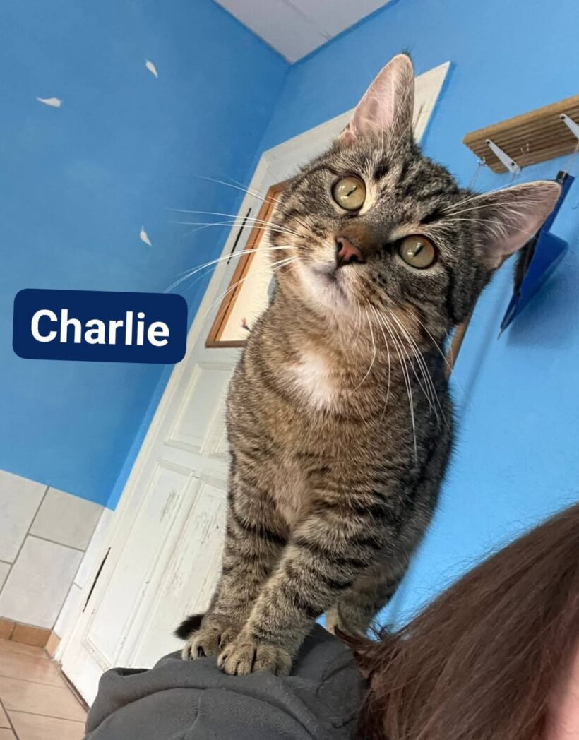 Fleur & Charlie❤️