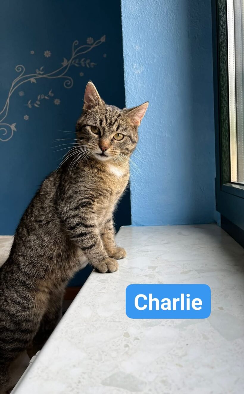 Fleur & Charlie❤️