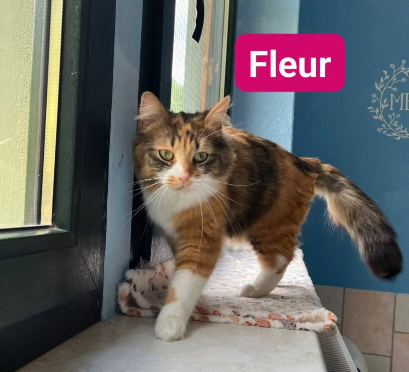 Fleur & Charlie❤️