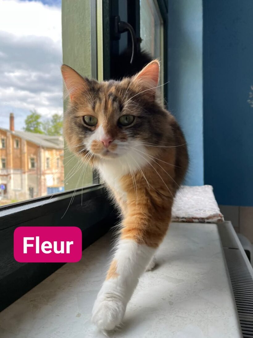 Fleur & Charlie❤️