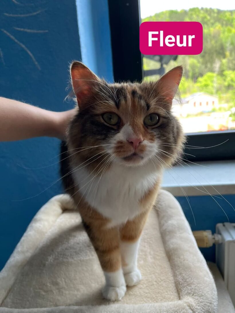 Fleur & Charlie❤️