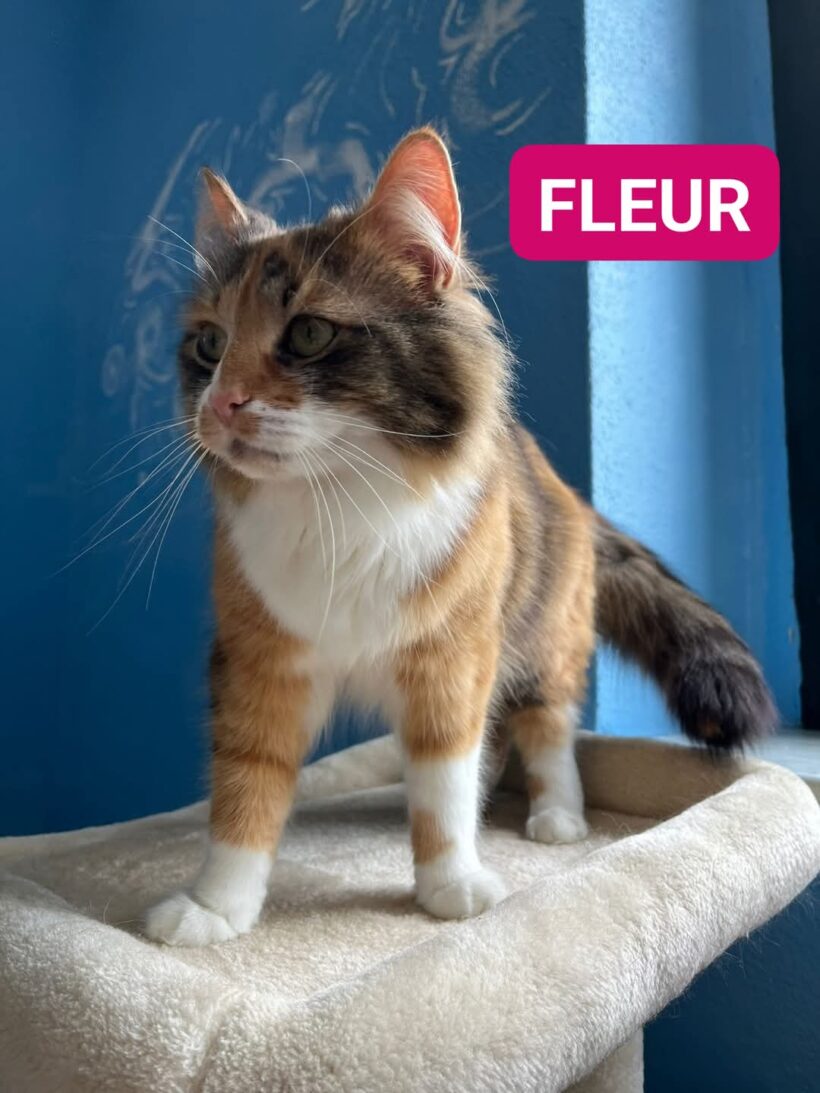 Fleur & Charlie❤️