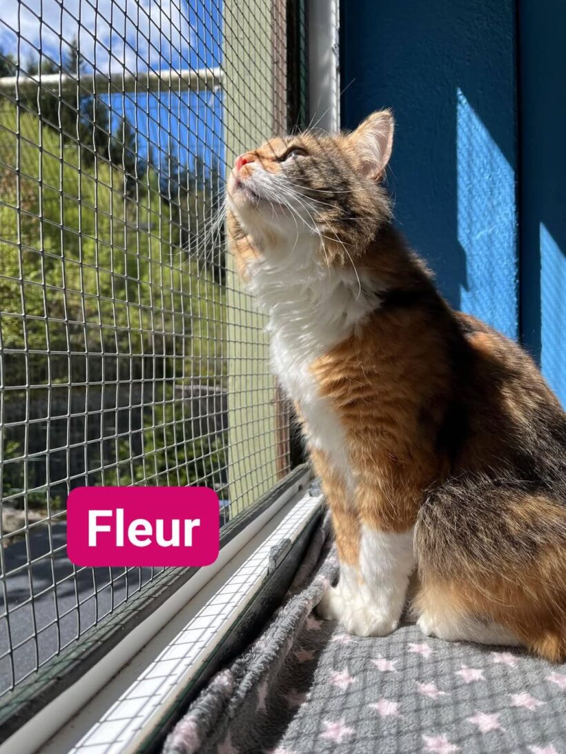 Fleur & Charlie❤️