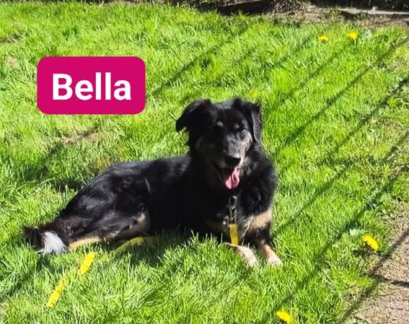 Bella❤️
