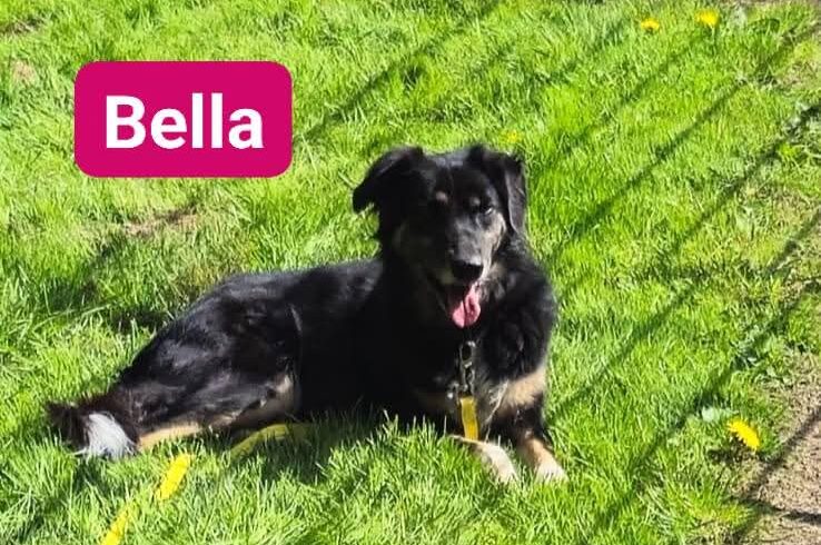 Bella❤️