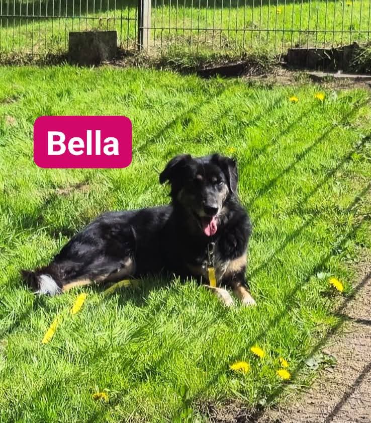 Bella❤️