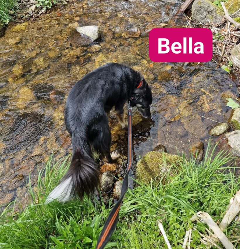 Bella❤️