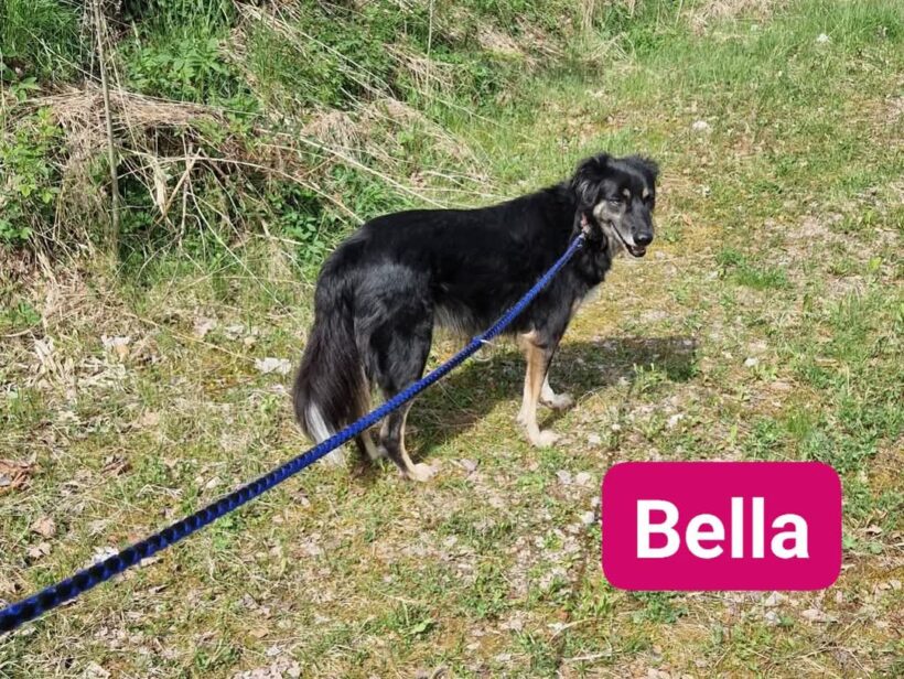 Bella❤️