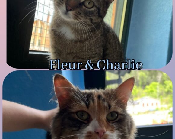 Fleur & Charlie❤️