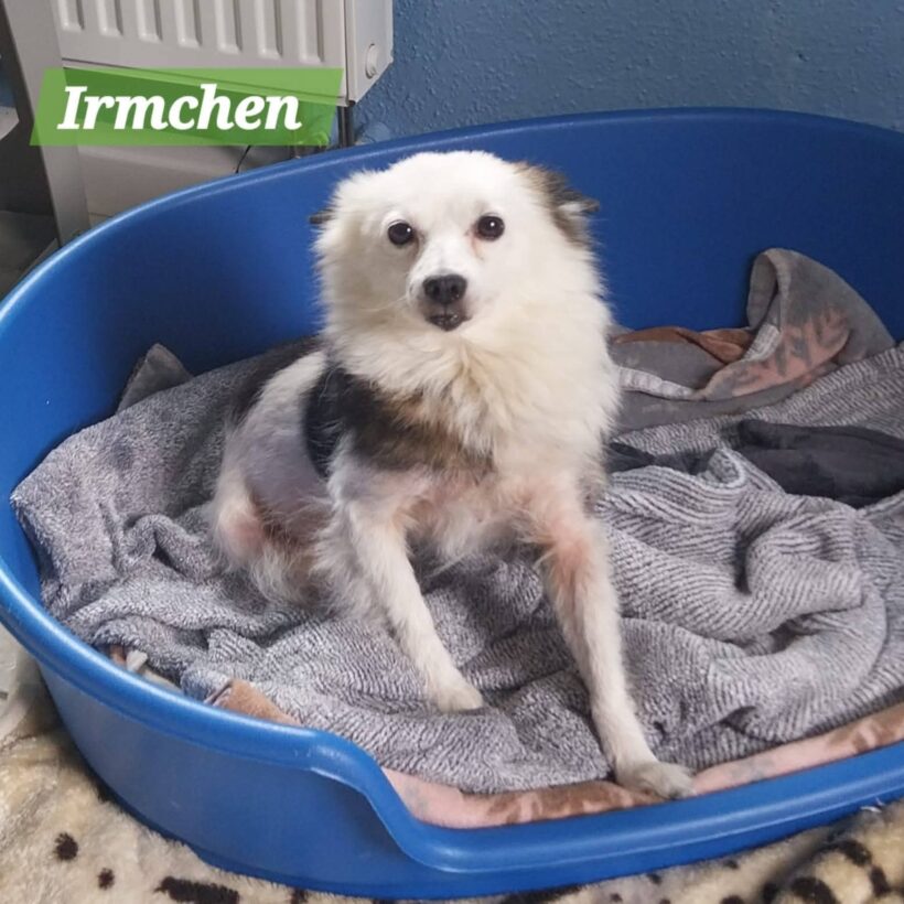 Irmchen❤️(ab Juli)