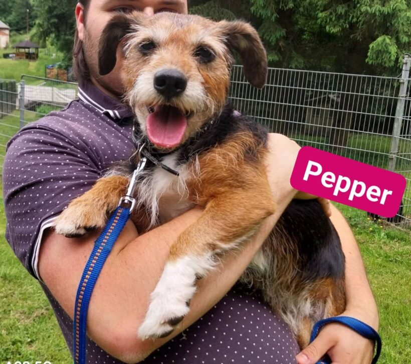 Pepper❤️ (ab Juli)