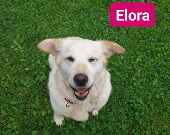 Elora❤️(ab Juli)