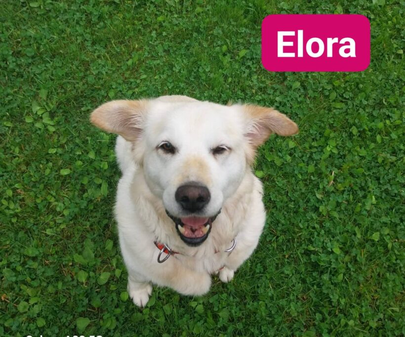 Elora❤️(ab Juli)