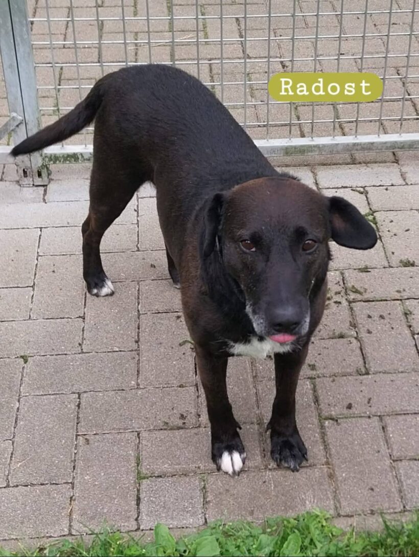 Radost❤️(Wohnt auf Probe)
