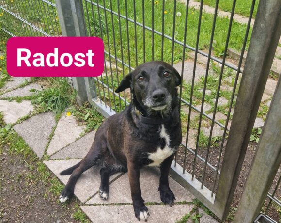 Radost❤️(Wohnt auf Probe)