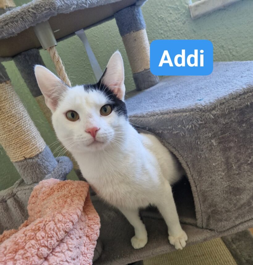 Addi und Anna(ab Juli)