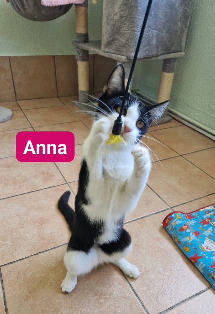 Addi und Anna(ab Juli)
