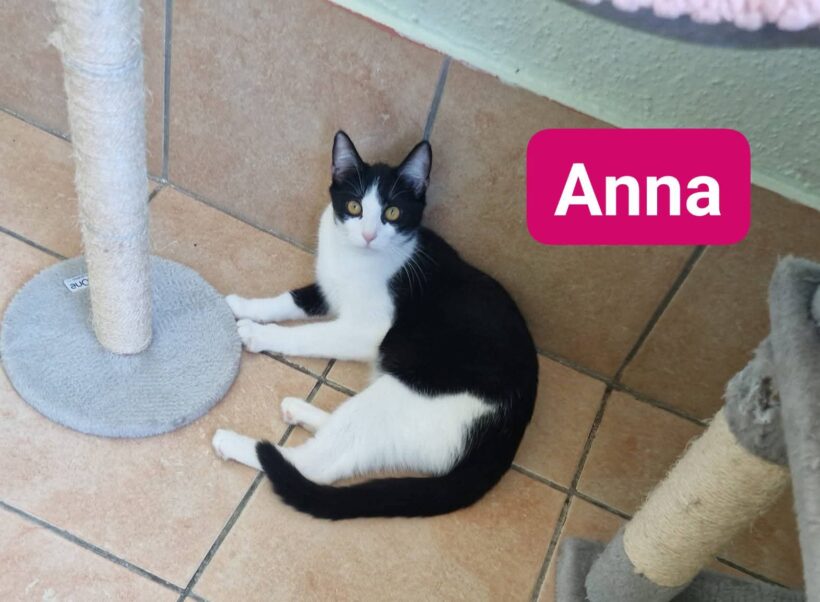 Addi und Anna(ab Juli)