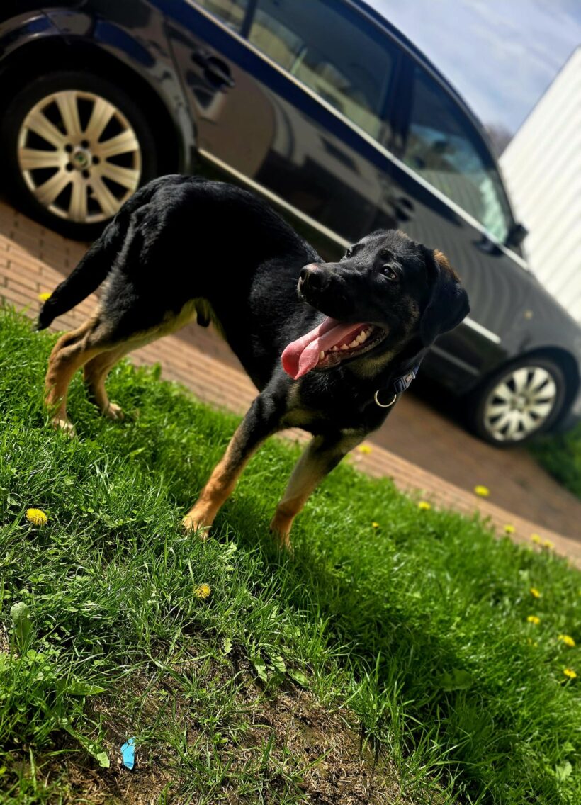 Bruno❤️