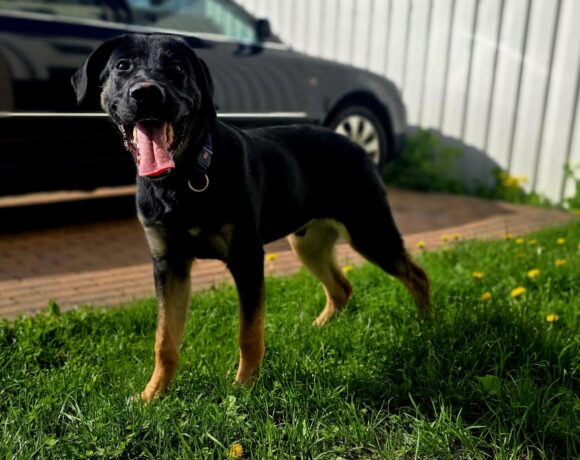Bruno❤️