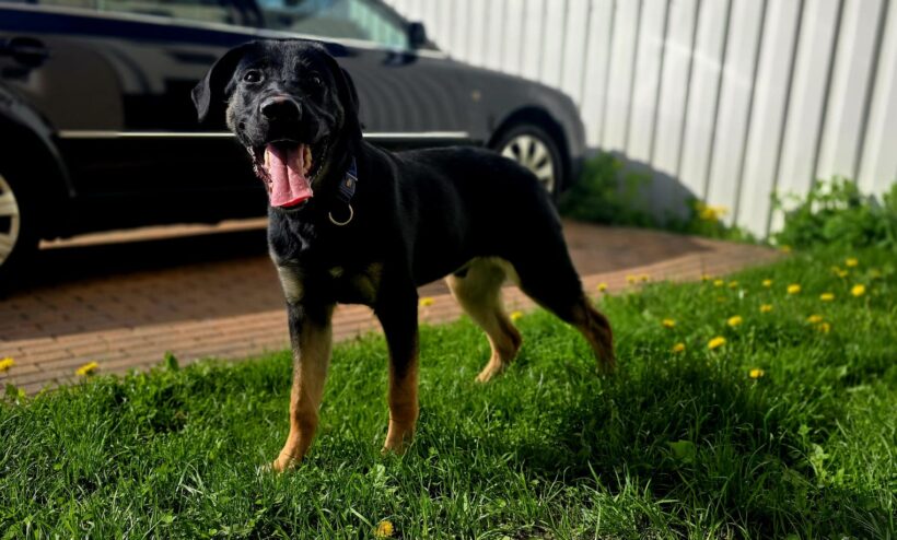 Bruno❤️