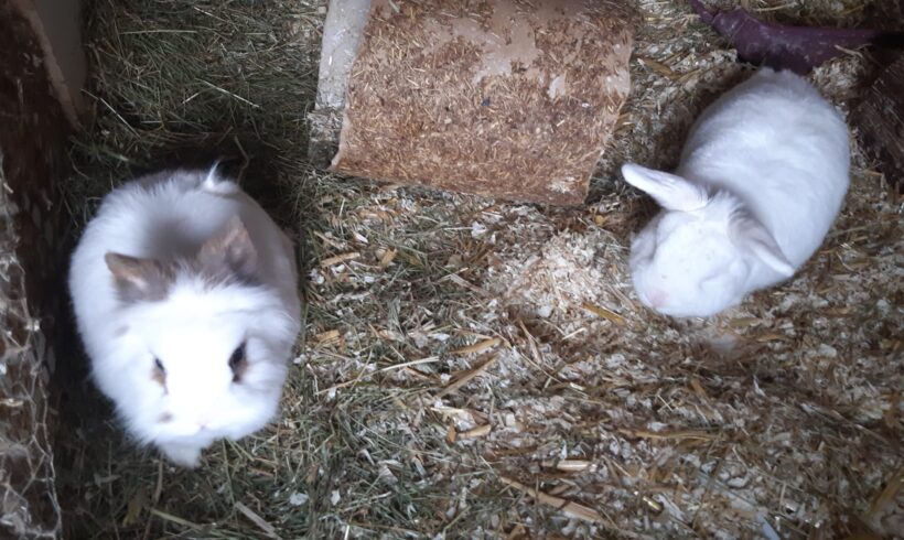 Klopfer und Börni❤️ Klopfer und Börni❤️