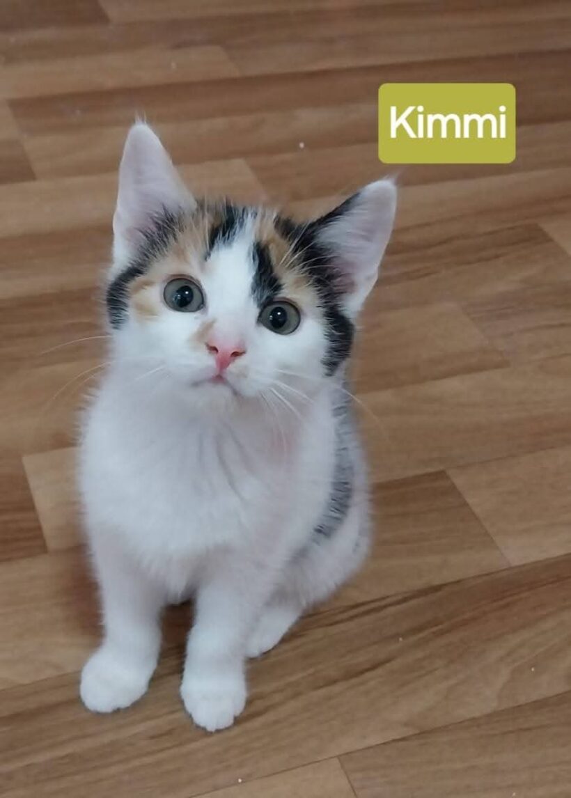 Kimmi & Karl ❤️