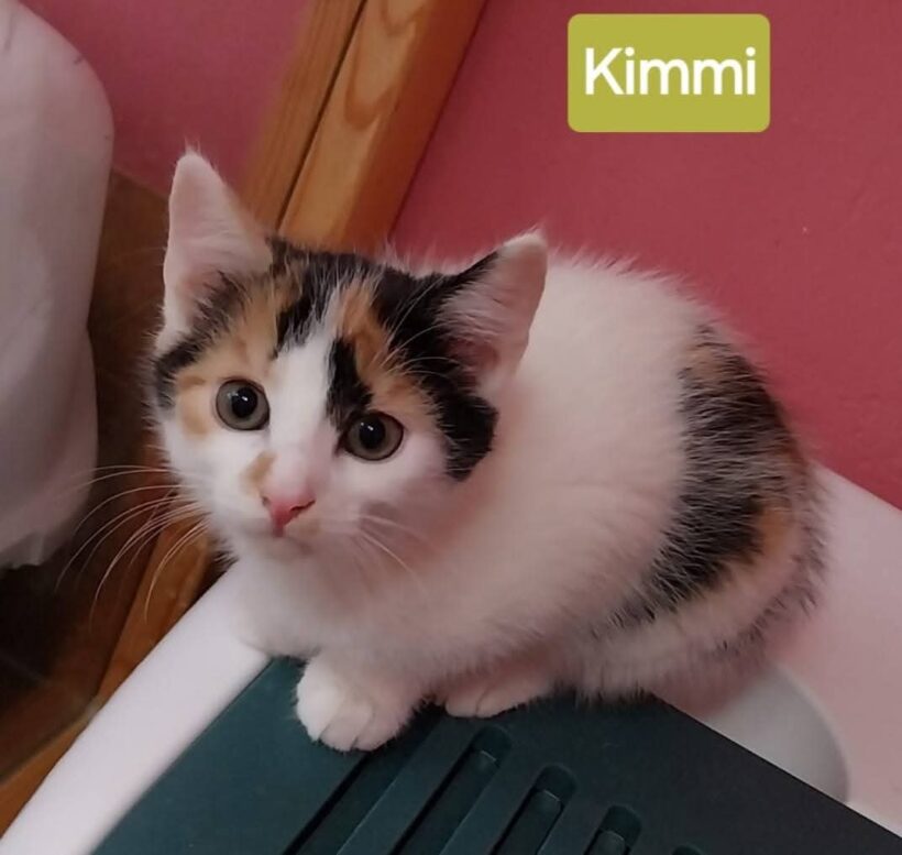 Kimmi & Karl ❤️
