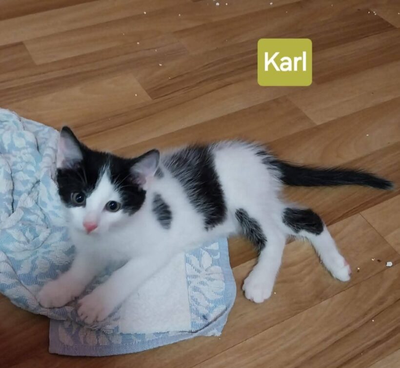 Kimmi & Karl ❤️